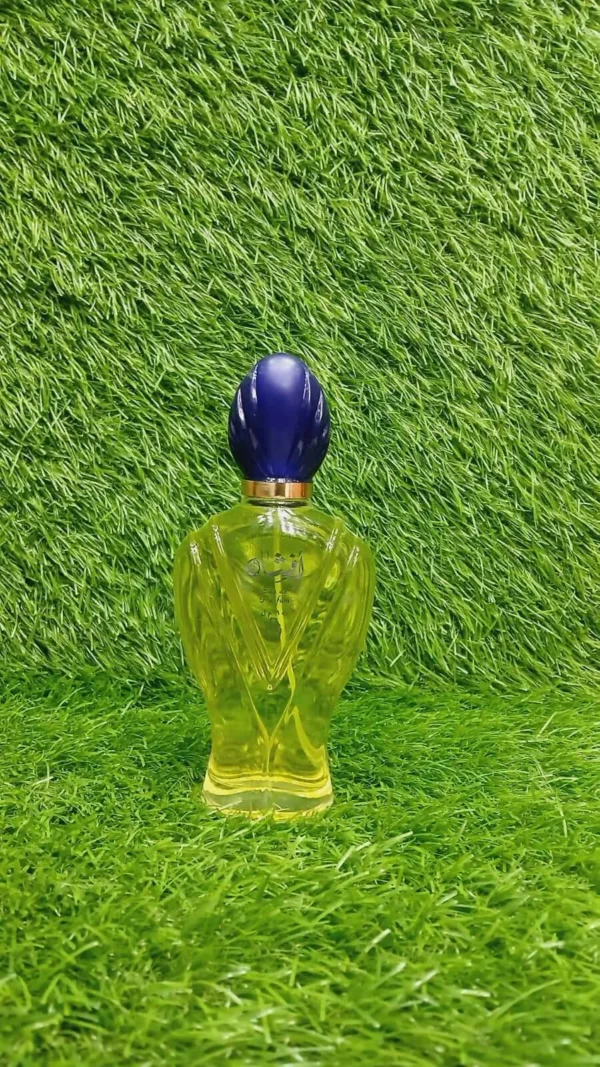 Afshan Perfume For Unisex High Quality 1st Copy Eau De Long Lasting Perfume100 Ml - Image 7